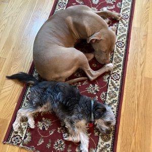 Meet your Posher, Mai